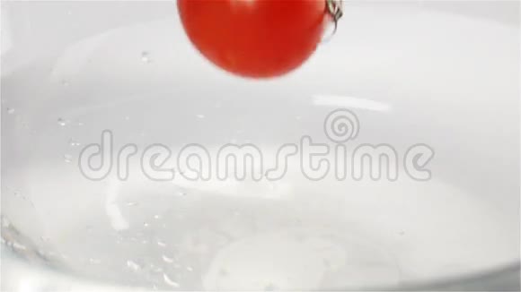 红番茄茄果落在水中的白背景水果视频的预览图