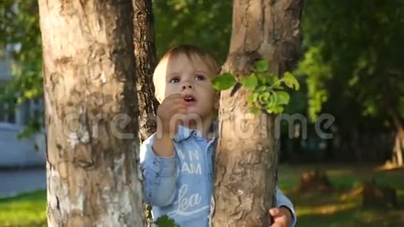 一个小孩站在树旁边视频的预览图