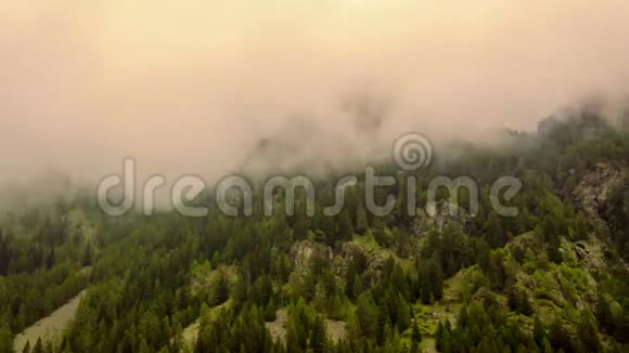 雾在蒙特罗莎附近的格雷斯尼山谷的一片森林上快速移动的时间流逝视频的预览图