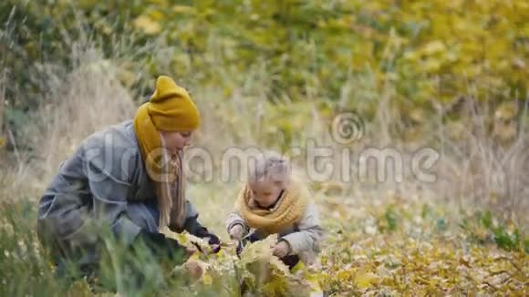 快乐的小女儿和妈妈在秋天的公园散步收集树叶视频的预览图