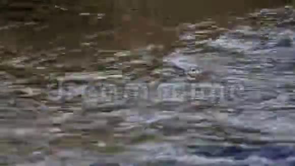 小白纸船在河上的特写视频的预览图
