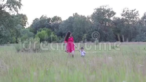 快乐的女人在夏天阳光明媚的日子里带着孩子一家人穿过草地视频的预览图