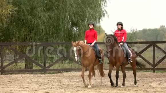 两个年轻的女人骑马视频的预览图
