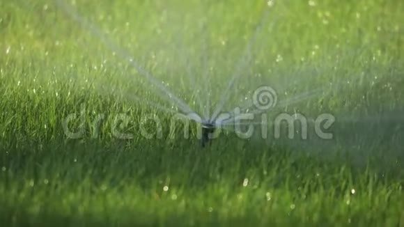 洒水车在房子附近洒下一片绿色的草坪浇水生活方式草洒水的概念视频的预览图