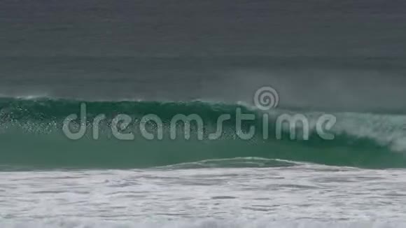 在西澳大利亚埃斯佩兰斯大洋道暮光海滩海浪和一群海豚视频的预览图