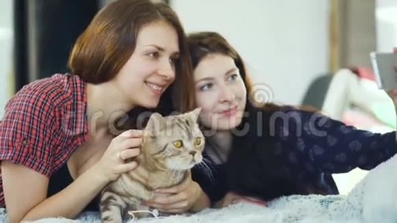 两个快乐的女性朋友躺在床上和猫一起自拍在家里的床上玩得很开心视频的预览图