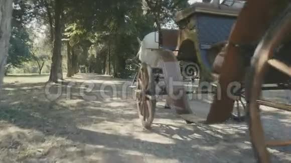 复古马车由一匹马牵引视频的预览图