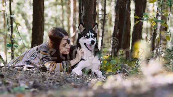 在森林里躺着一只漂亮的狗玩得很开心视频的预览图