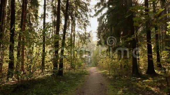 步行到森林里被遗弃的儿童营地秋天的白天光滑的娃娃射击视频的预览图