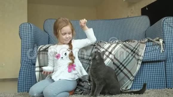 快乐的小女孩在房间里喂灰猫香肠视频的预览图