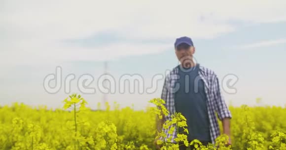 农民在田间检查和嗅闻油菜花视频的预览图