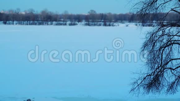 全景式的冬季自然观冬季公园的雪景视频的预览图