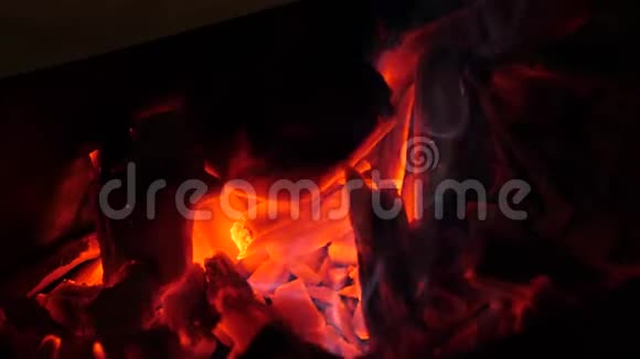 木炭被火烧得通红森林大火特写视频的预览图