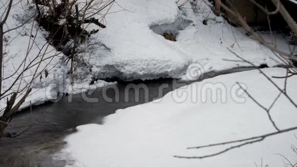 肮脏的泉水河视频的预览图