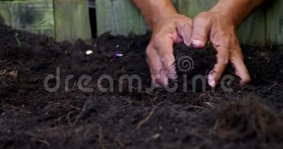老人挖土挖植物视频的预览图
