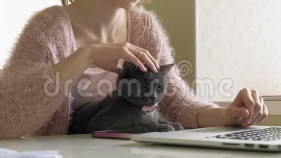 漂亮的女人带着小猫用笔记本电脑视频的预览图