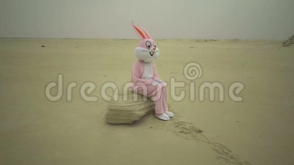 复活节兔子坐在沙漠的石头上穿着粉色兔子装的疯子或疯子坐在沙滩上视频的预览图