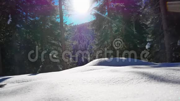 人们在大雪中滑雪视频的预览图