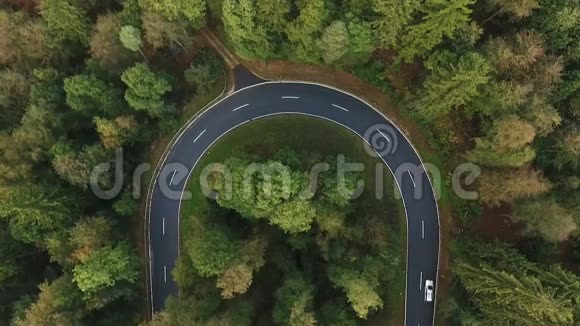 森林中的道路曲线视频的预览图