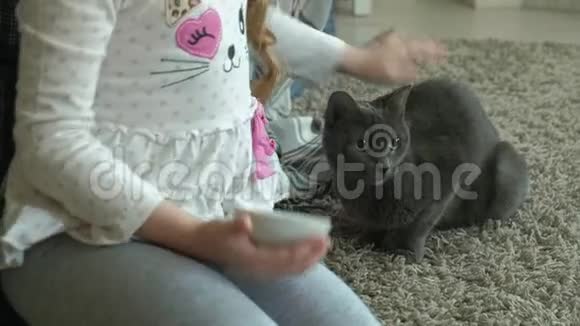 快乐的小女孩在房间里喂灰猫香肠视频的预览图