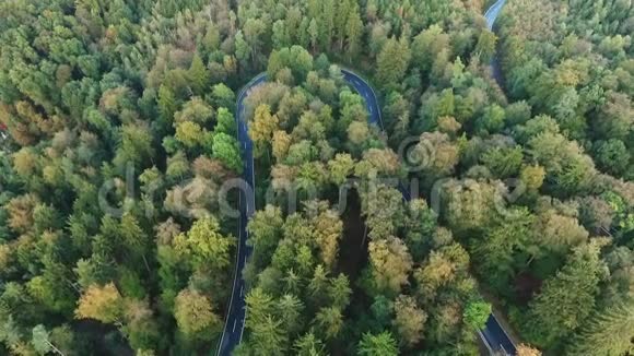 森林中的道路曲线视频的预览图