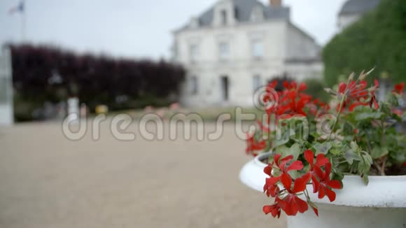法国卢瓦尔的古典建筑花园视频的预览图