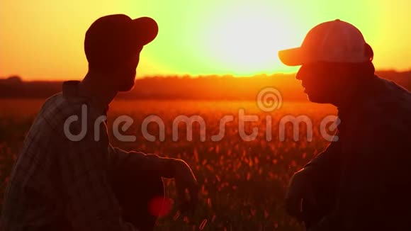 日落时分两个农民的操场视频的预览图