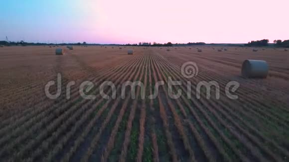 飞上田野干草卷日出海贝尔在4k雷亚尔德隆的射门视频的预览图