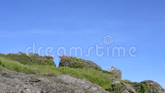 滑盘女子徒步穿越罗陀和岩石视频的预览图