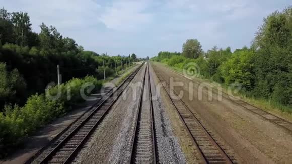 四排长长的铁路沿着绿树丛铺设视频的预览图