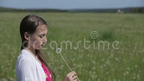 女孩吹蒲公英视频的预览图