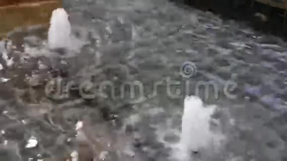 简单的水流入池塘视频的预览图