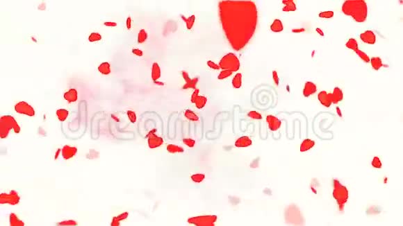 情人节快乐黄金文本情人节抽象背景飞扬的心和粒子白色背景视频的预览图