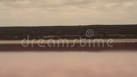 从西澳大利亚州粉红湖中放大视频的预览图