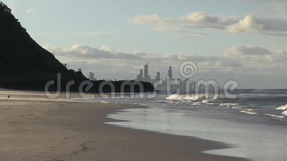 狗在棕榈滩以Burleigh头和冲浪者天堂为背景视频的预览图