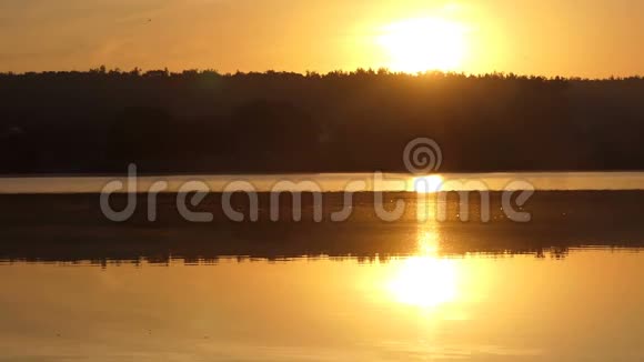 夏日日落时森林湖的金色波光粼粼视频的预览图
