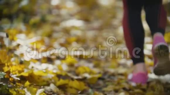 女腿脚在黄色的秋天公园跑步运动生活方式概念慢动作视频的预览图