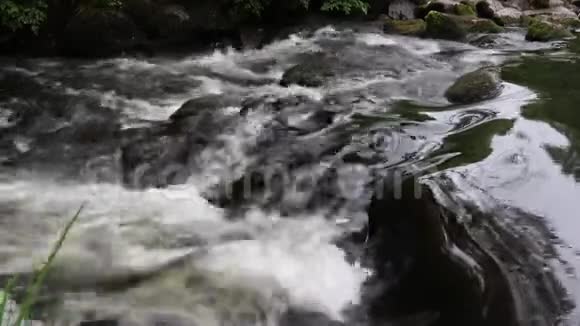 德文郡达特穆尔一条流动的河流视频的预览图