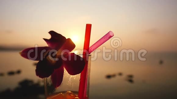 一杯带吸管的热带鸡尾酒在令人惊叹的日落和美丽的海景背景下装饰了一朵花慢慢慢慢视频的预览图