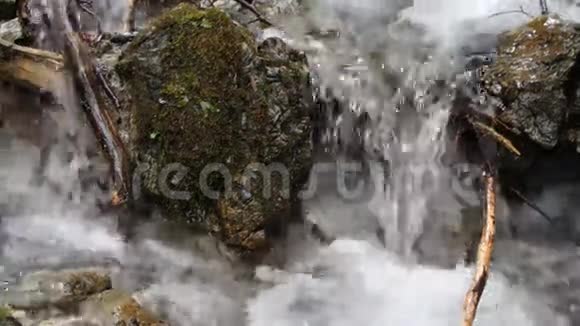 树林里的小瀑布视频的预览图