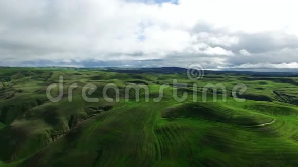 从上面拍摄的绿色田野和小山的美丽茂盛的景观视频的预览图