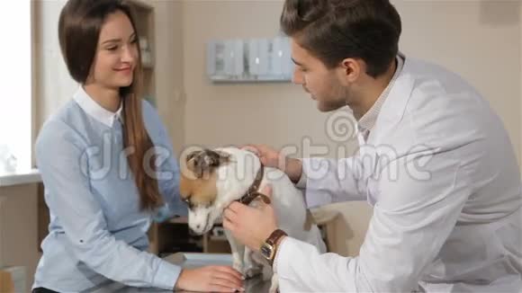 男兽医问女人她的宠物视频的预览图