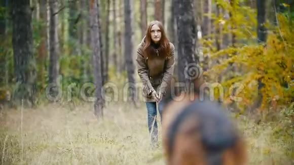 年轻的女人和她的宠物德国牧羊犬在秋天的森林里散步狗跑向主人慢动作视频的预览图