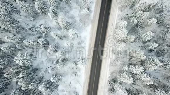 路穿过冬林俯视风景视频的预览图