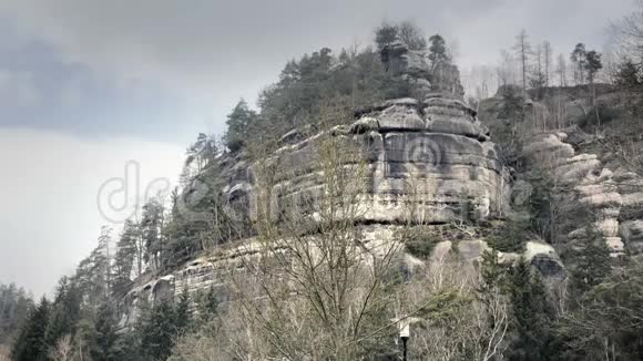 砂岩岩石森林中的岩体德国的攀爬景观大石头视频的预览图