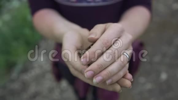 张开的雌性手握着黄色的蝴蝶视频的预览图