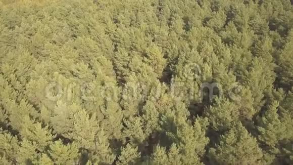 空中无人驾驶飞机飞过森林视频的预览图