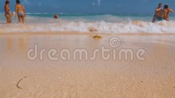 热带国家海岛海滩的沃维热带海滩视频的预览图