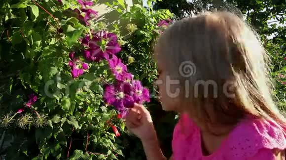 女孩和热带花卉视频的预览图