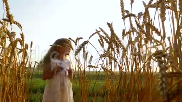 小女孩站在麦田周围太阳的光线穿过麦穗小麦变黄了视频的预览图